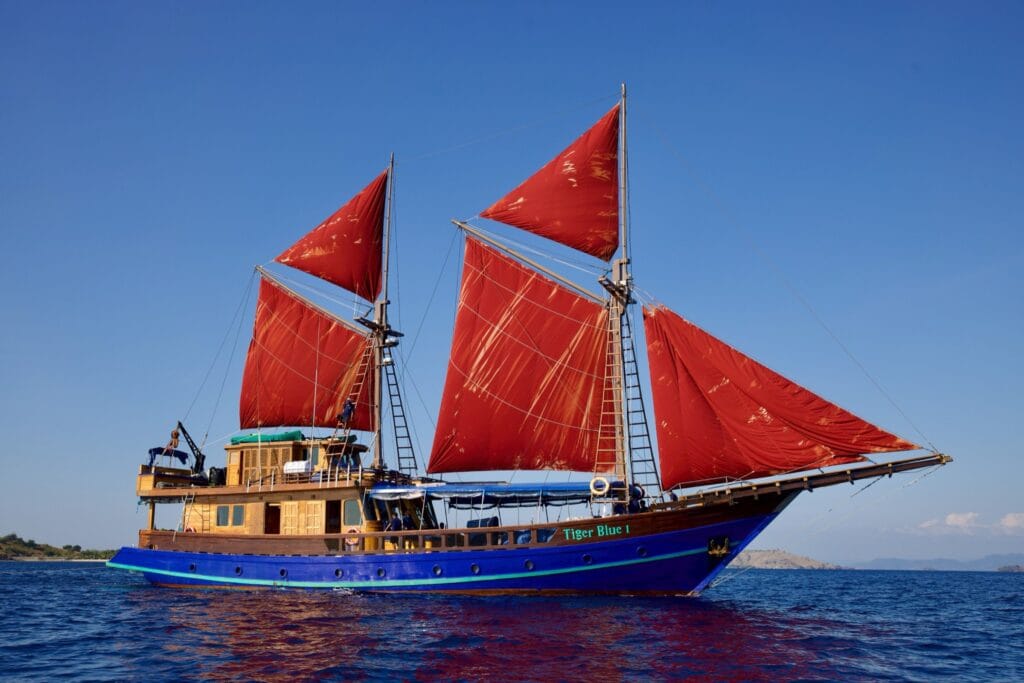 Tiger Blue under full red sails on a calm blue sea