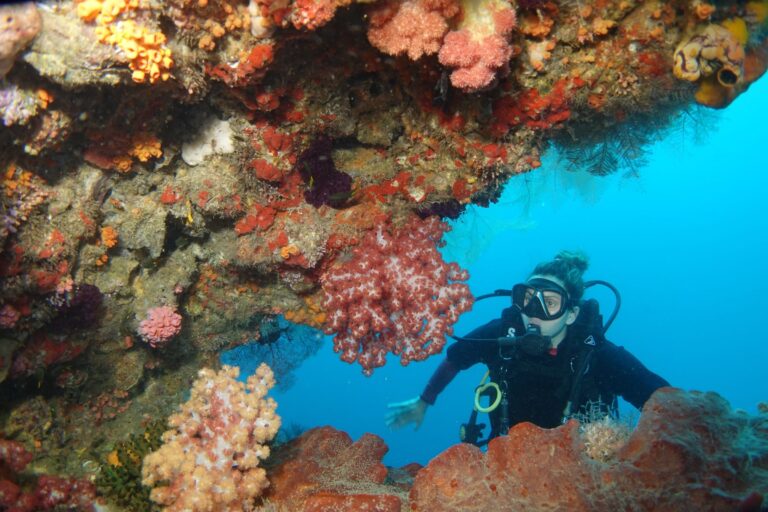 Scuba diver looks out from under a reef overhang hung with pink and orange soft corals