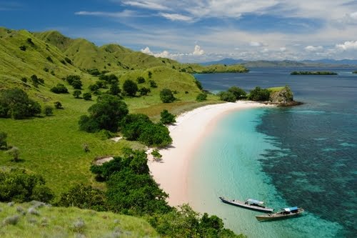 Hilltop view of a pink-sand beach and turquoise bay with boats at anchor in Komodo National Park