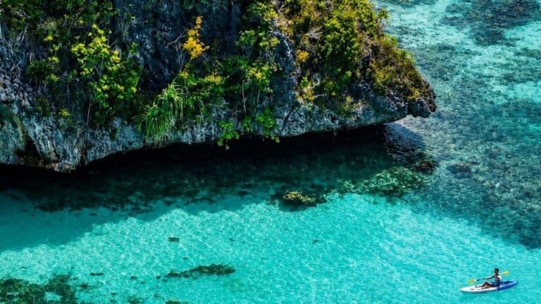 Turquoise lagoon beneath forested limestone cliffs, seen from above