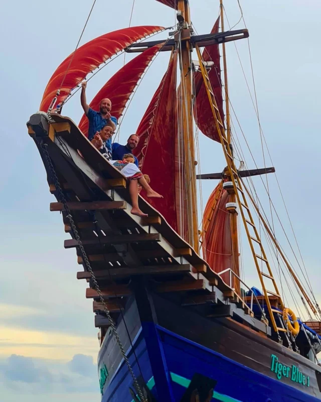Plan your next adventure with Tiger Blue! Explore remote islands, dive pristine reefs, and unwind in the beauty of Indonesia.

Available for Private Charter or By the Cabin set date departures.

Head to our bio for more info & bookings 

📍 Tiger Blue Voyage Indonesia
#DiveIndonesia #DiveAdventure #VoyageIndonesia #TigerBlueIndonesia #Phinisi #LiveAboard #Luxury #DreamHoliday #AppreciationPost #Indonesia #Luxury #ExploreIndonesia